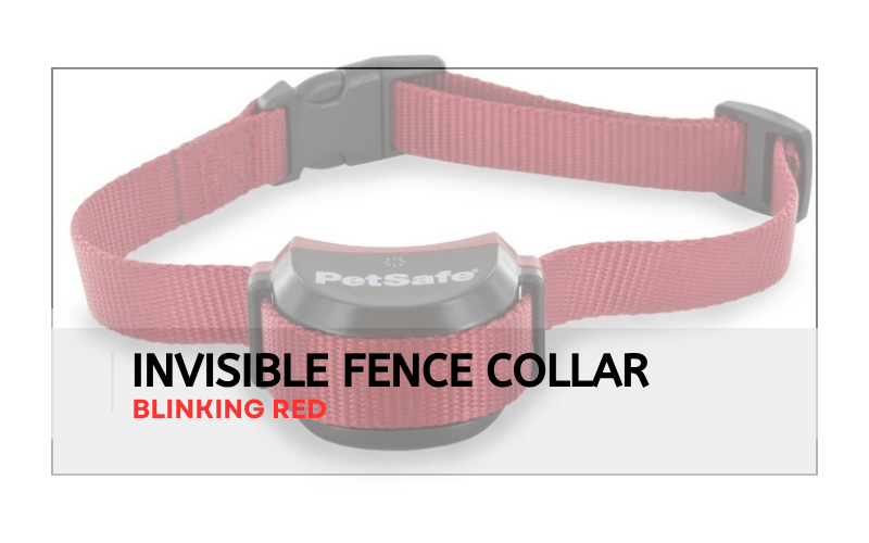 Invisible Fence Collar Blinking Red
