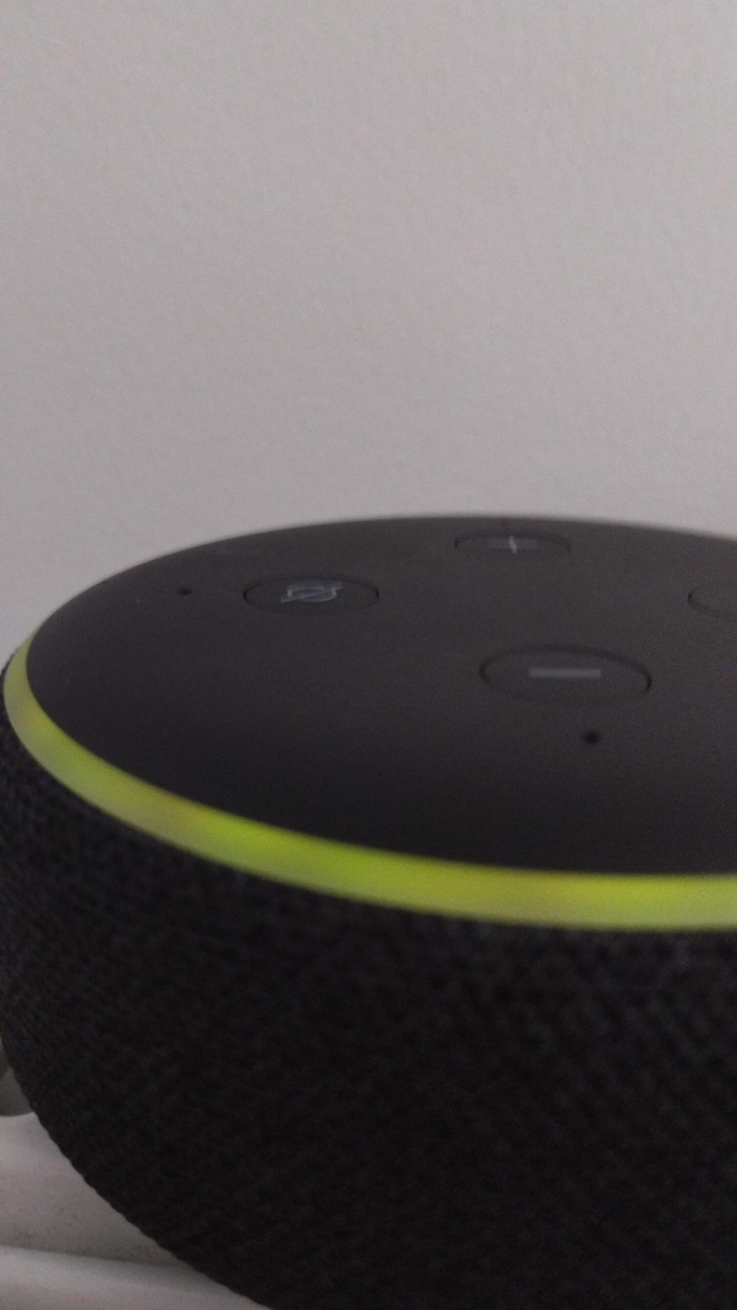 Alexa Blinking Green