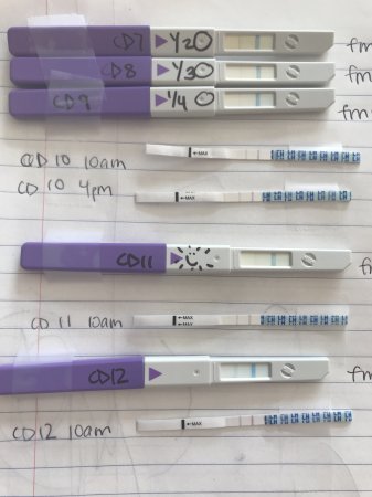 Blinking Smiley Face On Ovulation Test