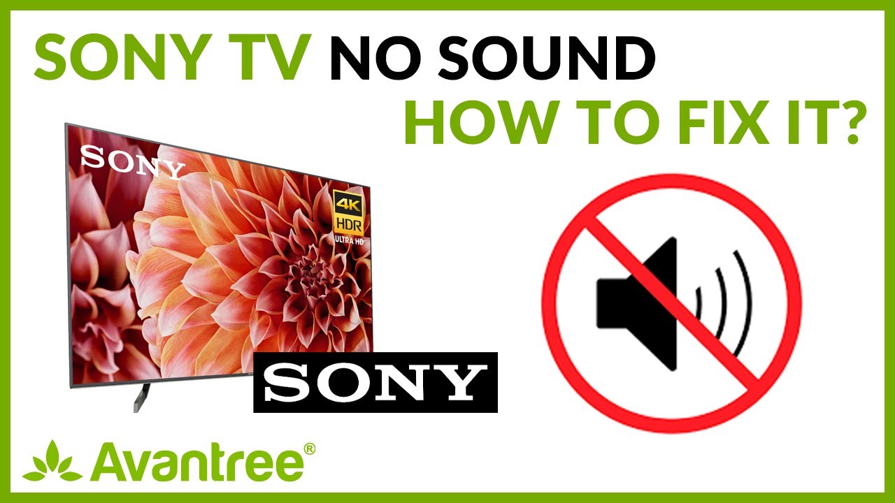 Sony Tv No Sound