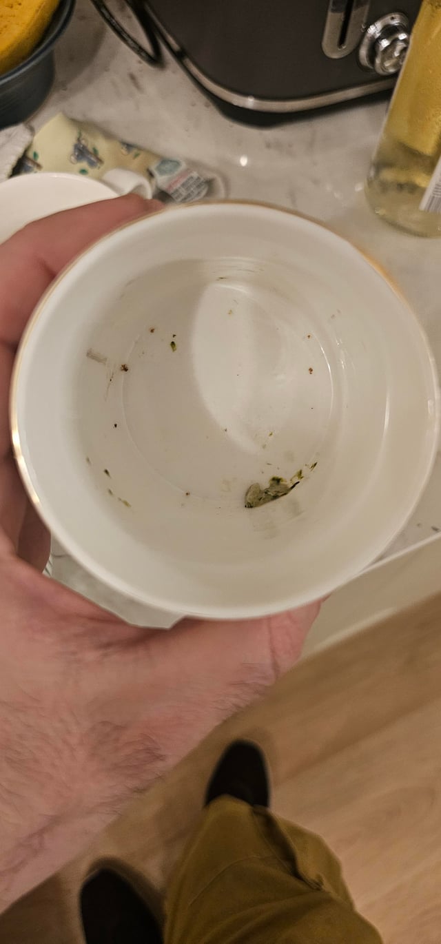 Bosch Dishwasher Not Cleaning