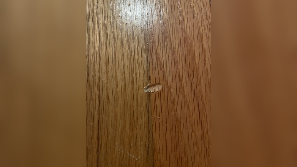 How To Get Dents Out Of Hardwood Floors