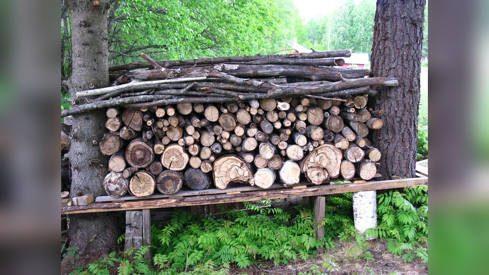 How To Keep Mice Out Of Wood Pile