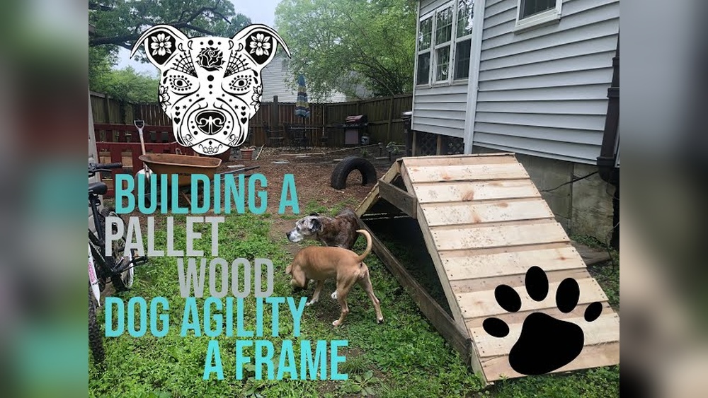 How To Make A Dog Ramp Out Of Pallets