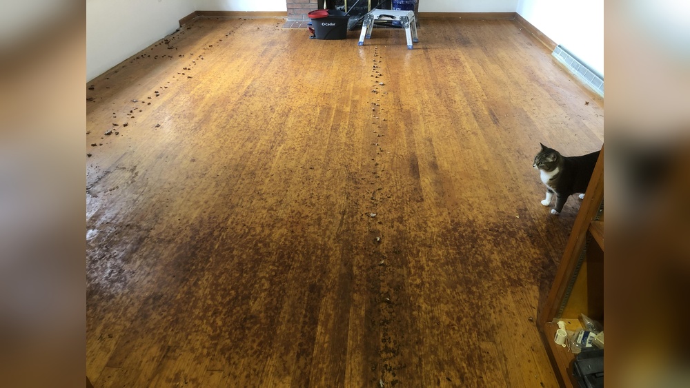 How To Remove Carpet Pad Stains From Hardwood Floors