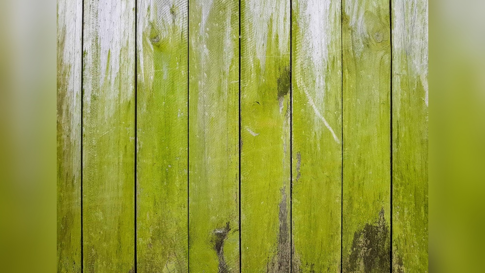 How To Remove Green Moss From Wooden Deck