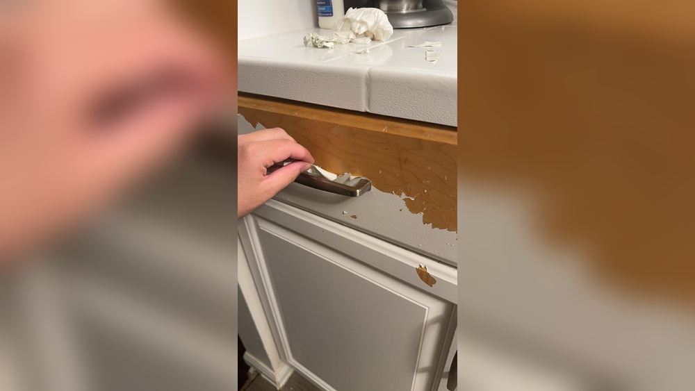 How To Remove Paint From Cabinets Without Sanding