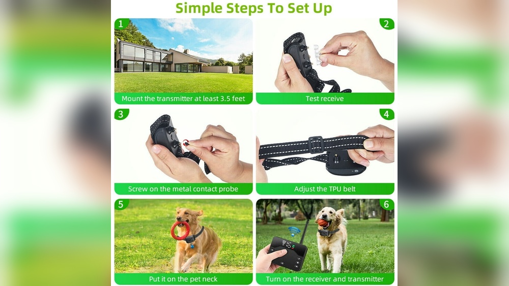 Invisible Fence Collar Blinking Green