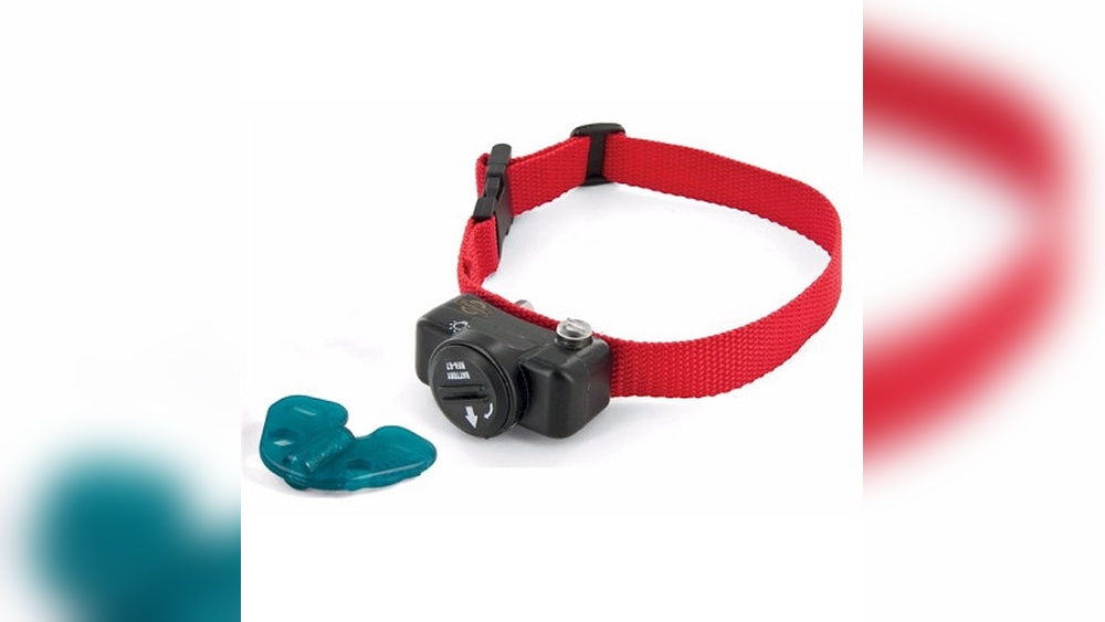 Petsafe Collar Blinking Red